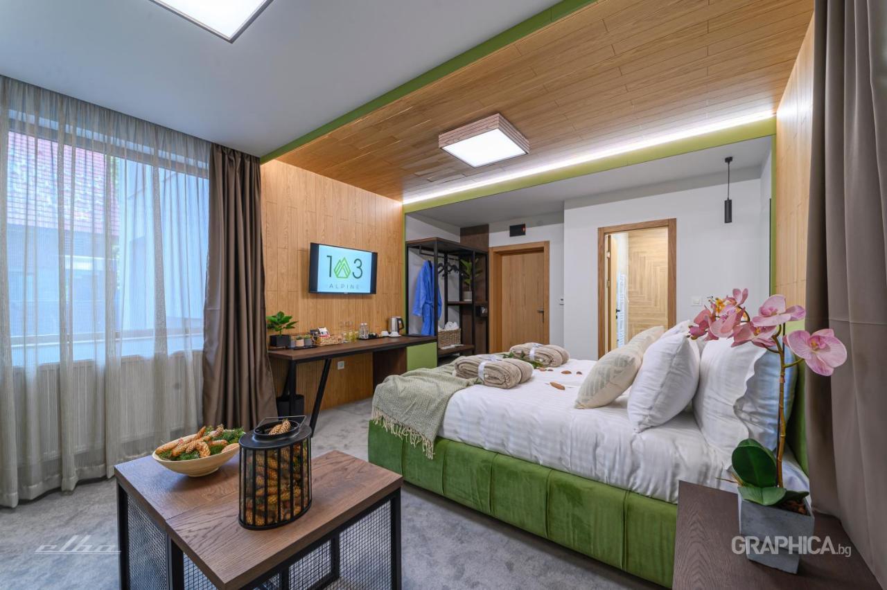 103 Alpine Hotel Panitsjisjte Eksteriør bilde