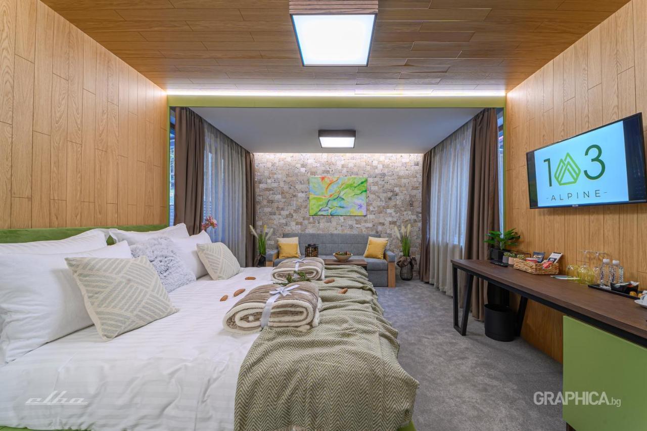 103 Alpine Hotel Panitsjisjte Eksteriør bilde