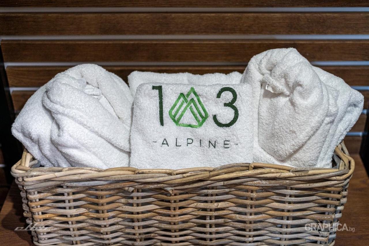 103 Alpine Hotel Panitsjisjte Eksteriør bilde
